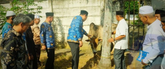 Pemkab OKU Selatan Serahkan 3 Ekor Sapi Kurban ke Masjid Agung Al-Muhtadin