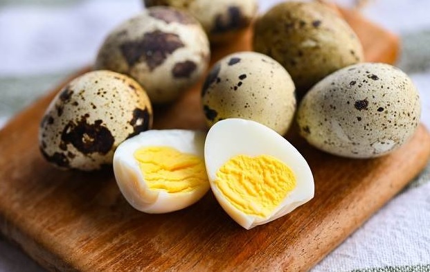Telur Puyuh: Si Kecil Penuh Gizi untuk Tumbuh Kembang Anak