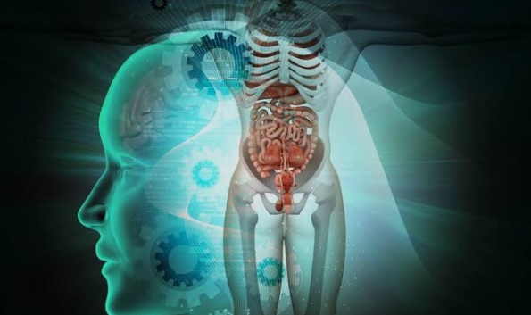 Proses Adaptasi Tubuh Saat Puasa yang Jarang Disadari