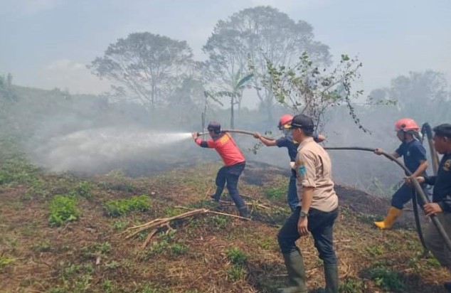 Cuaca Panas Ekstrem, Kasus Kebakaran di OKU Selatan Meningkat