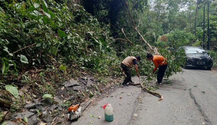 BPBD OKU Selatan Gerak Cepat Evakuasi Pohon Tumbang di Simpang Sender Utara