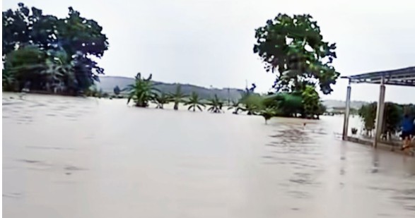Permukiman di OKU Timur Ratusan Hektare Sawah Terendam 
