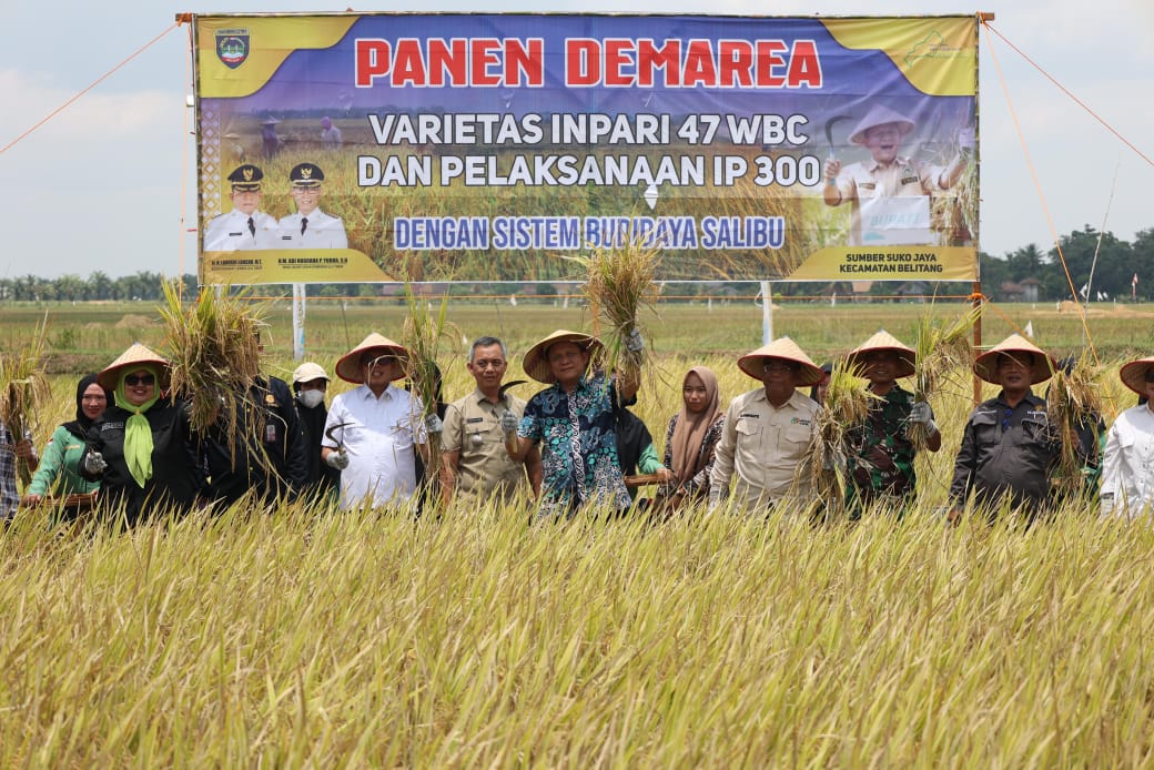 OKU Timur Komitmen Majukan Pertanian, Tingkatkan Produksi Lewat Cetak Sawah Baru dan Optimalkan Lahan Tidur