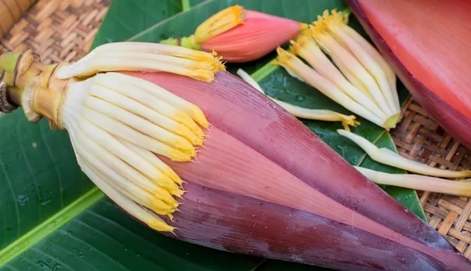 Manfaat Menakjubkan Jantung Pisang untuk Kesehatan Anda