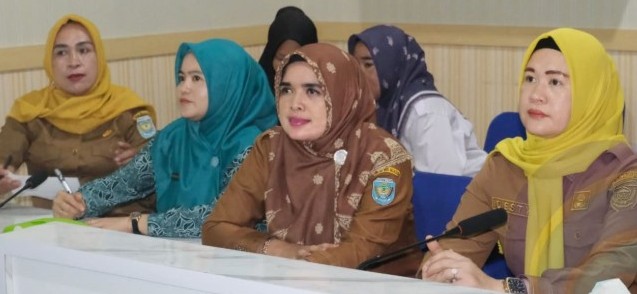 OKU Selatan Targetkan Nol Kematian Ibu Hamil