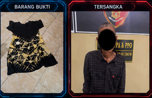 Pria Parubaya di OKU Diduga Rudakpaksa Menantunya Sendiri Ditangkap Polisi