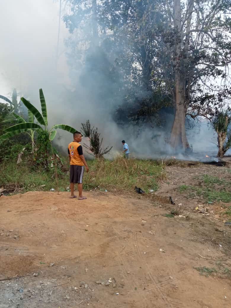 Kebakaran lahan di OKU Nyaris Bakar Pemukiman Warga, 4 Mobil Damkar Diterjunkan