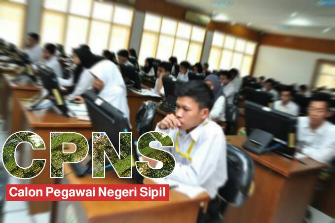 CPNS 2023 Dibuka, 4 Formasi ini Mudah Lulus Seleksi