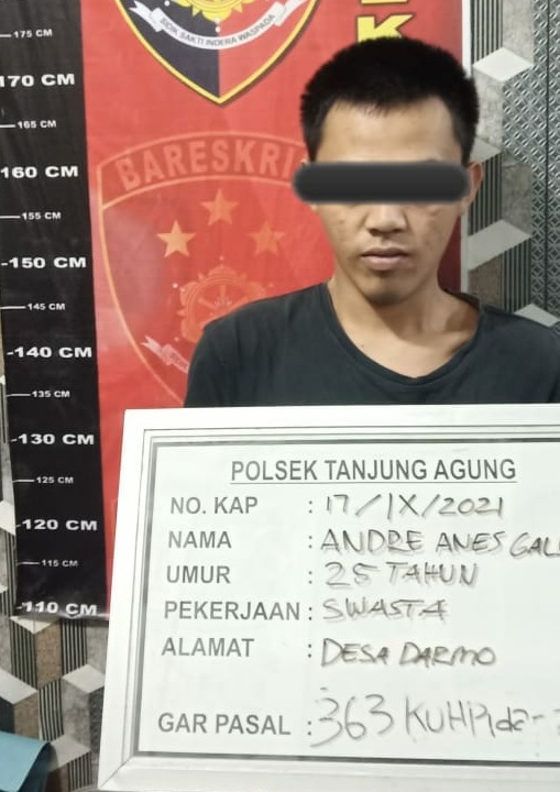 3 Bulan DPO, Pelaku Curat Dibekuk Tim Lebah