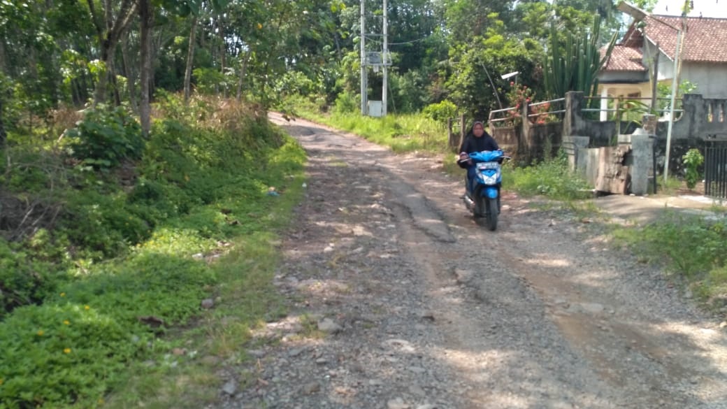 Warga 3 Dusun Di Desa Batumarta I Mengharapkan Pembangunan Jalan
