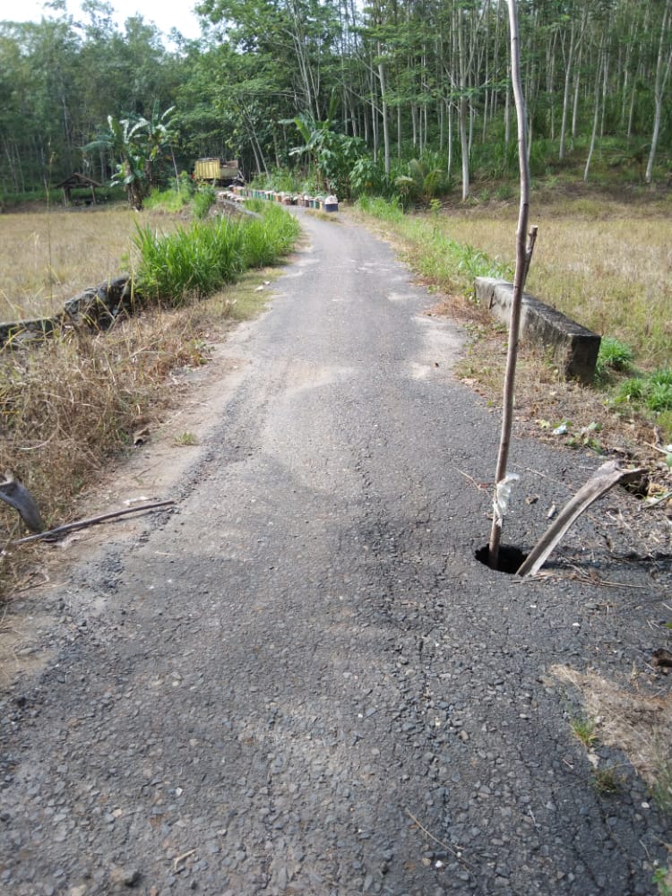 Waspada, Jalan Dusun Banjar Sari Berlubang, Warga Mengharapkan Perbaikan Jalan