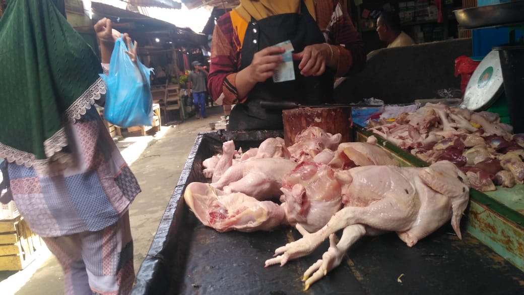 Harga Ayam Potong di Pasar Batumarta, Turun Harga