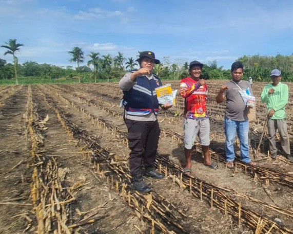 Bhabinkamtibmas Muaradua Inisiasi Kebun Jagung untuk Perkuat Ketahanan Pangan