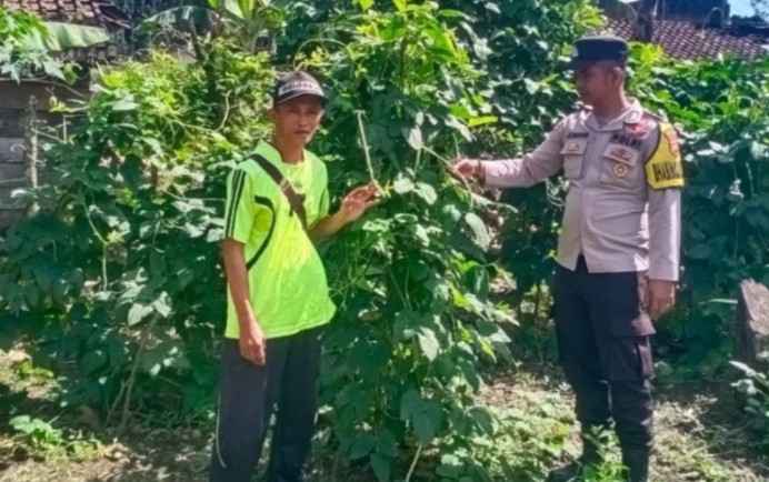 Ajak Warga Tanam Sayur di Pekarangan untuk Ketahanan Pangan