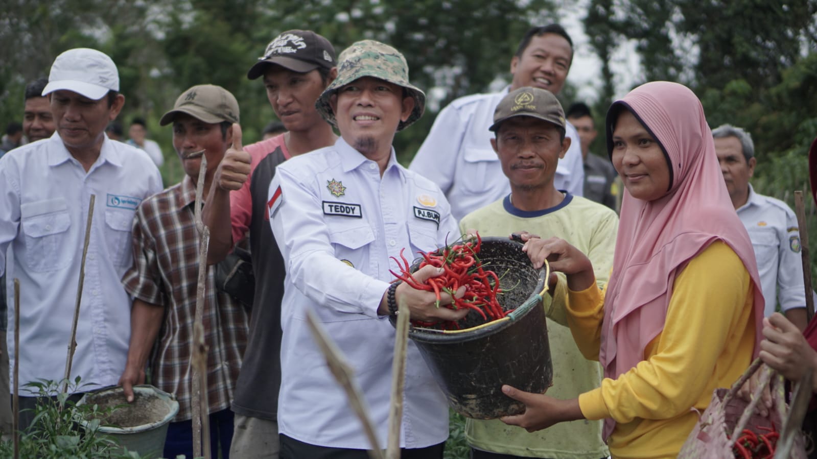 Panen Raya Cabai, Bukti Tanah di Kabupaten OKU Cocok untuk Berbagai Jenis 