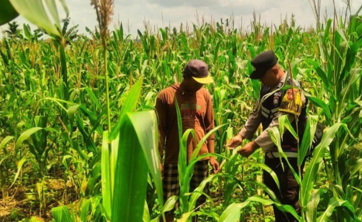 Polisi Dengarkan Keluhan Petani Jagung 