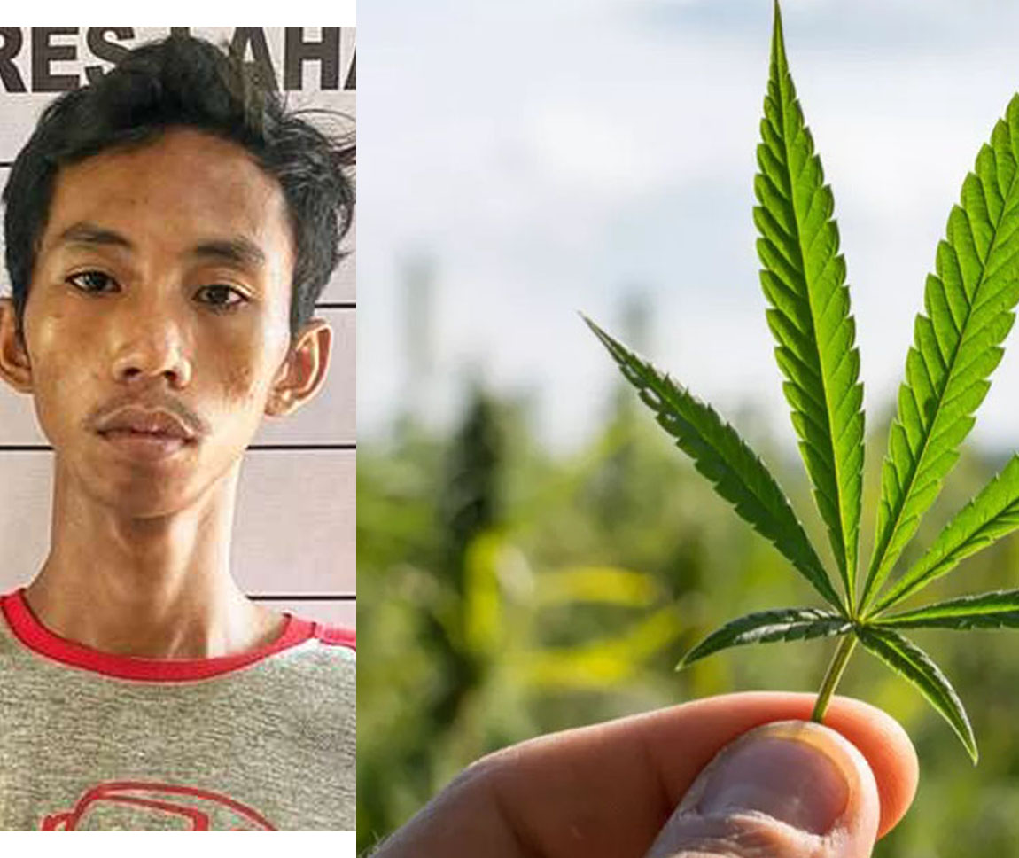 Polisi Tangkap Pemuda Lagi Asyik Nongkrong Sambil Kantongi Daun Rasta