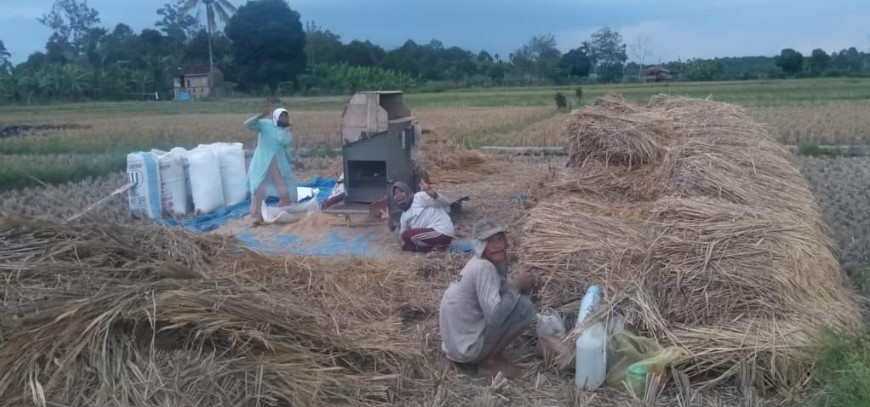 Tingkatkan Produksi Padi, Warga Minta Dibangun Irigasi