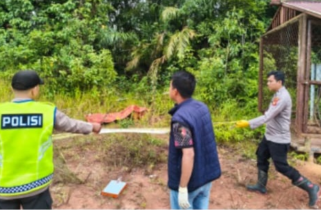 Petani di OKU Ditemukan Tewas di Bawah Kabel Tegangan Tinggi