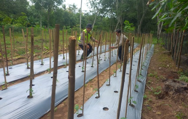 Bhabinkamtibmas  Aktif Lakukan Pendampingan ke Petani