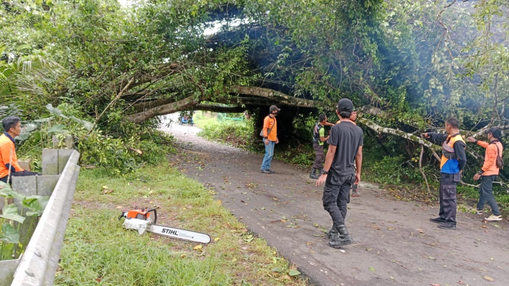 Pohon Besar Tumbang, Lalulintas Terganggu