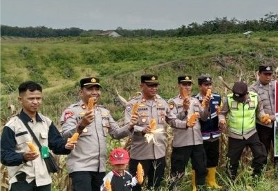 Hasil Panen Belum Maksimal Terganjal Hama dan Pupuk