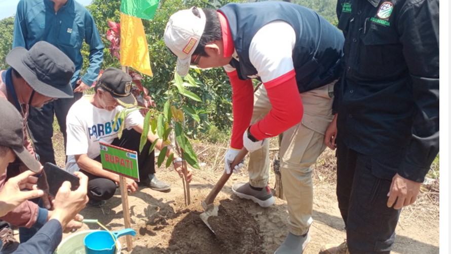 Tanami Ribuan Pohon  di Tanam di Kaki Gunung Seminung OKU Selatan