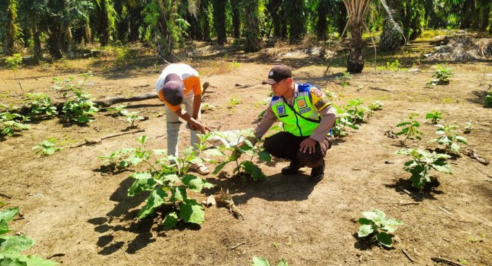 Polsek Simpang Ajak Warga Tanam Sayur di Pekarangan Dukung Ketahanan Pangan