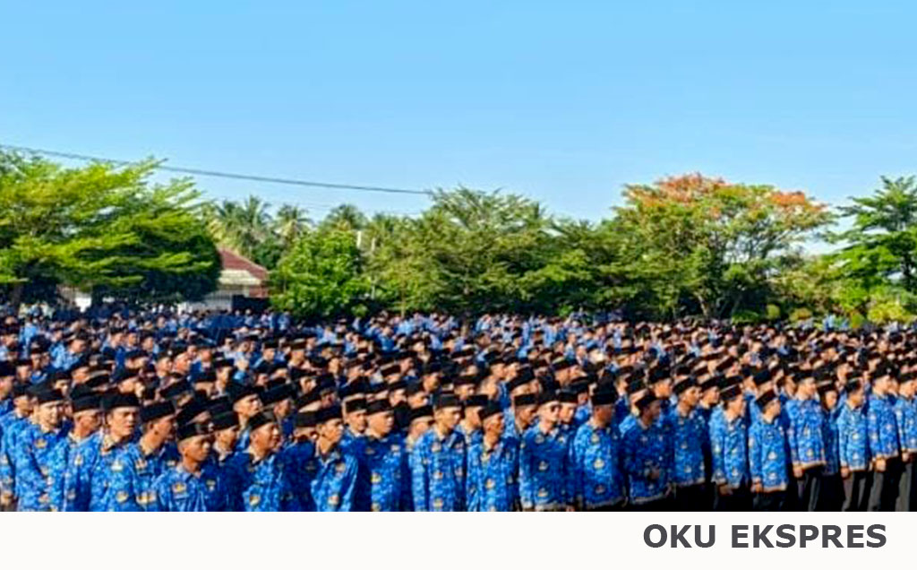 Gaji PPPK Paruh Waktu di OKU Masih Setara Honorer, Ini Penjelasan Bupati?