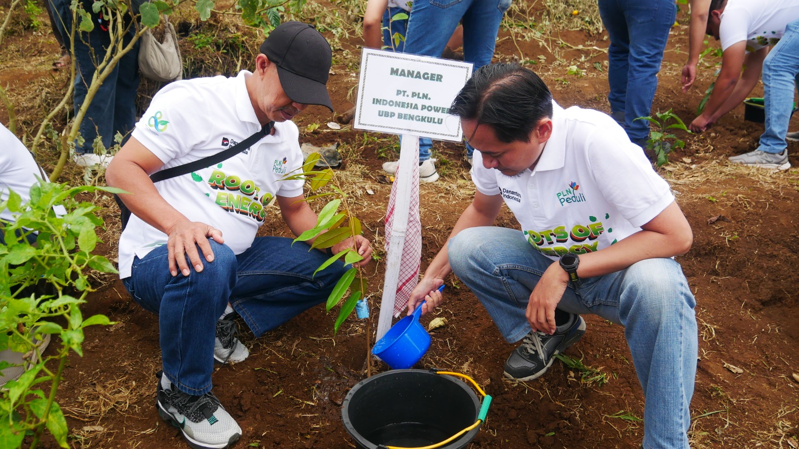 PLN UID S2JB Tanam 3.000 Pohon di Rejang Lebong