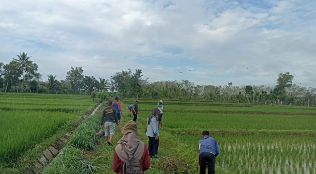 Atasi Dampak Perubahan Iklim, Normalisasi Saluran Irigasi