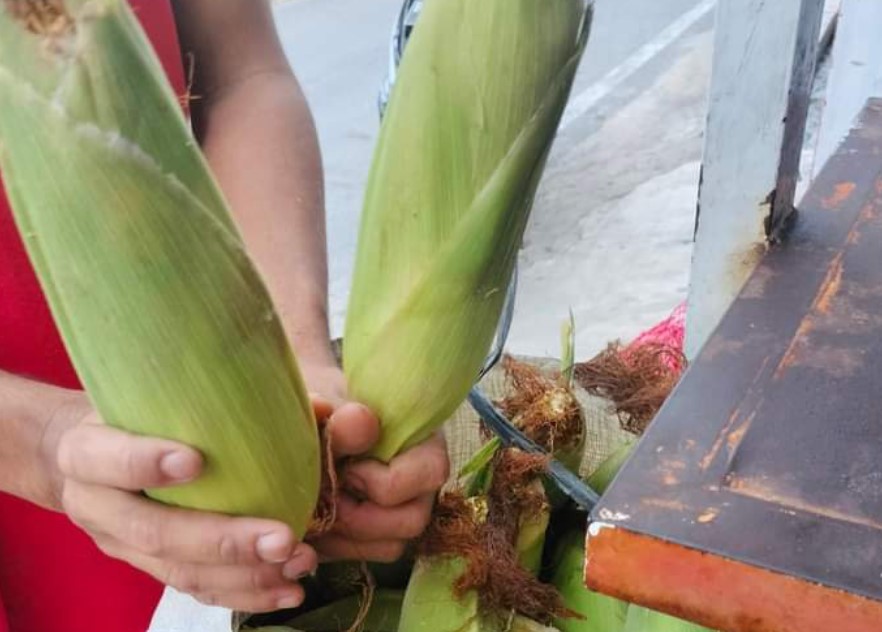 Penjualan Jagung di OKU Selatan Meningkat Saat Perayaan Natal dan Jelang Tahun Baru