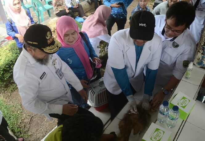 Terbatas, Vaksin Gratis 300 Kucing di OKU