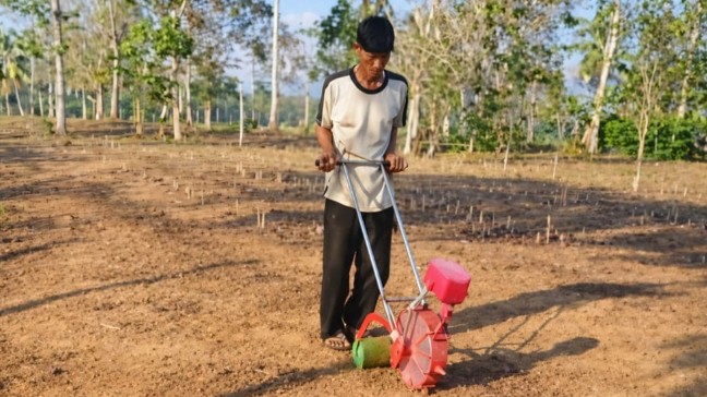 Alat Tanam Jagung Manual Ubah Cara Bertani Petani OKU Timur, 1 Hektare Cuma 3 Jam