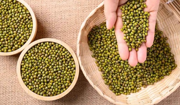 7 Manfaat Kacang Hijau untuk Kesehatan yang Wajib Anda Ketahui