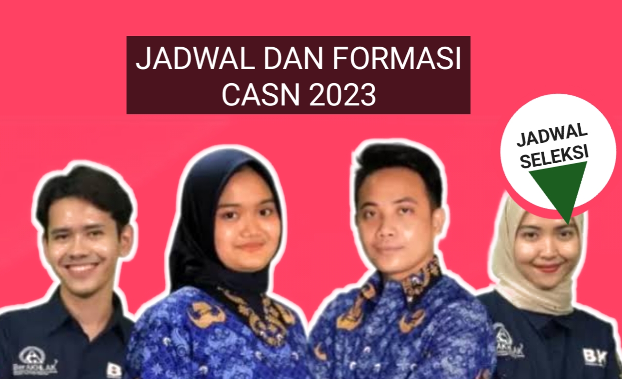 Download Disini Formasi CPNS dan PPPK 2023 Terlengkap