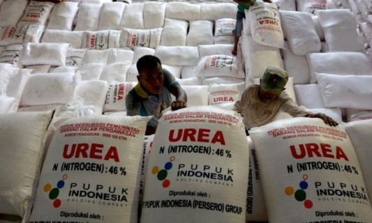 Pemkab OKU Selatan Pastikan Kebutuhan Pupuk Subsidi 2025 Terpenuhi