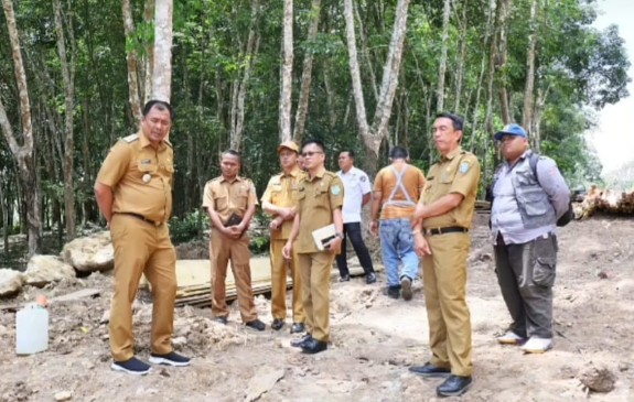 Pastikan Proyek Pembangunan Jembatan Komering 4 Tepat Waktu