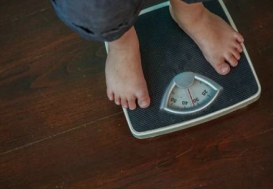 Lebaran Tetap Sehat Tanpa Khawatir Berat Badan Naik