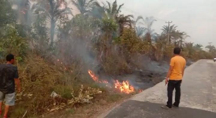 Karhutla Kebun Sawit di OKU TImur Dilalap Si Jago Merah 