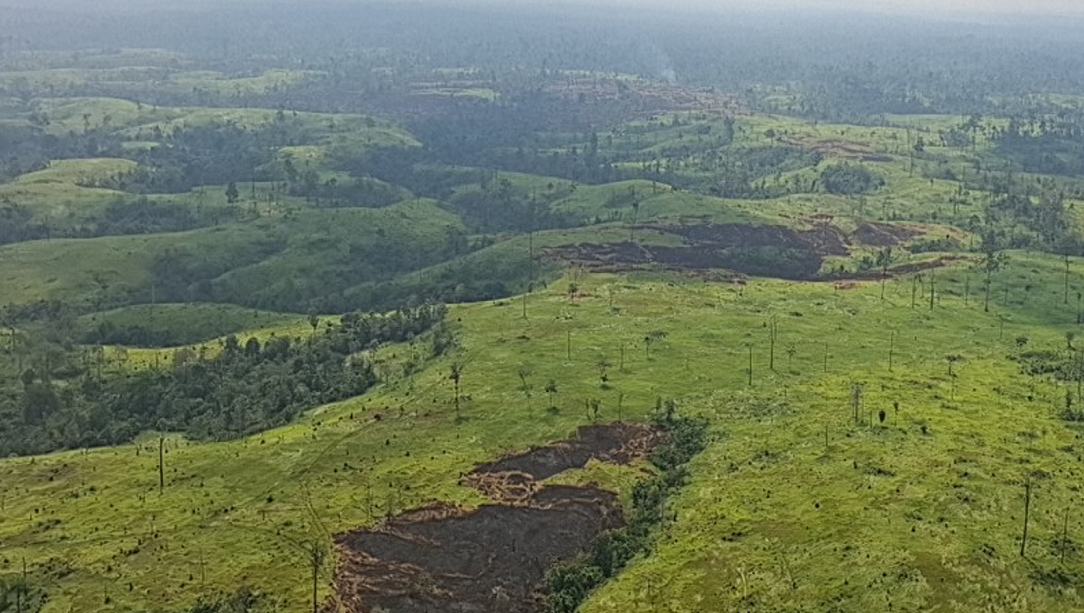 Karhutla di OKU, Terjadi di 2 Titik Dalam Sepekan