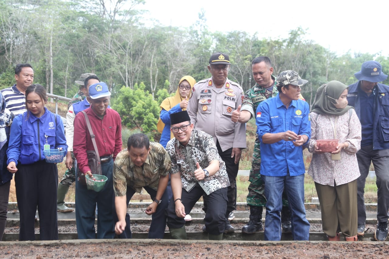 Produksi Bawang Merah 14 Ton, Dinas Pertanian OKU Diminta All Out