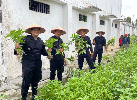 Perkuat Ketahanan Pangan, Panen Raya Sayur ke Enam Kali