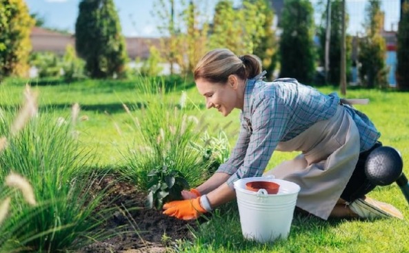 Berkebun: Aktivitas Seru yang Bikin Badan dan Pikiran Sehat!