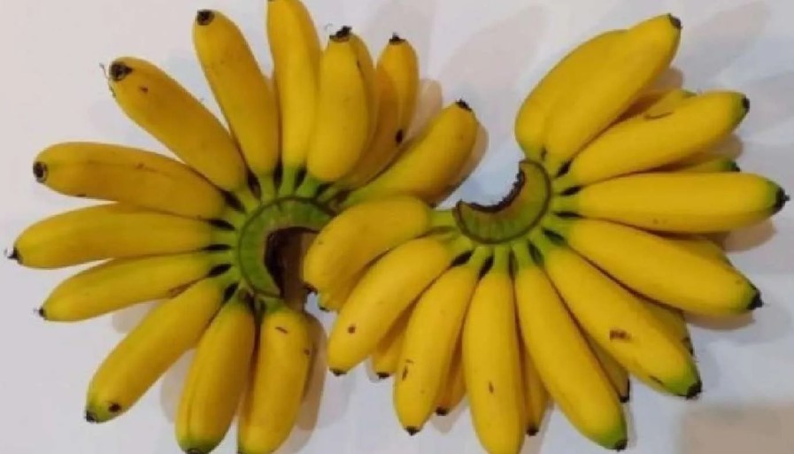 7 Alasan Mengapa Pisang Layak Menjadi Sarapan Pagi Anda