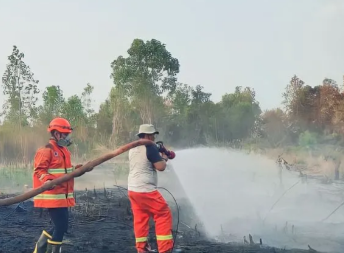 Puntung Rokok Hanguskan 10 Hektare Lahan di OKU