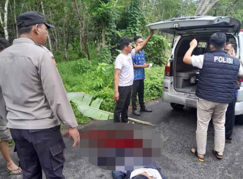 Pemuda di OKU Timur Tewas Tertimpa Pohon Tumbang Saat Hujan Deras