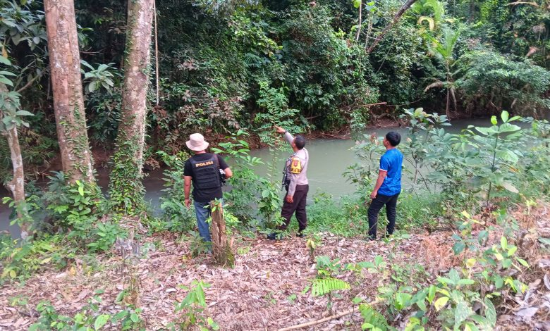 Sulit Terjangkau, Titik Api Karhutla Terpantau di OKU