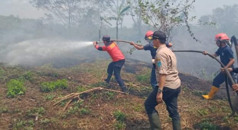 Cuaca Makin Panas, Sebabkan Banyak Kebakaran  MUARA DUA