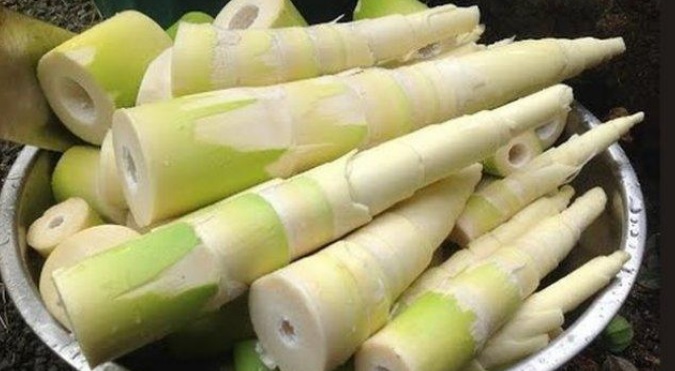 Rebung,Keajaiban Nutrisi dari Alam
